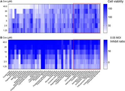 Several FDA-Approved Drugs Effectively Inhibit SARS-CoV-2 Infection in vitro